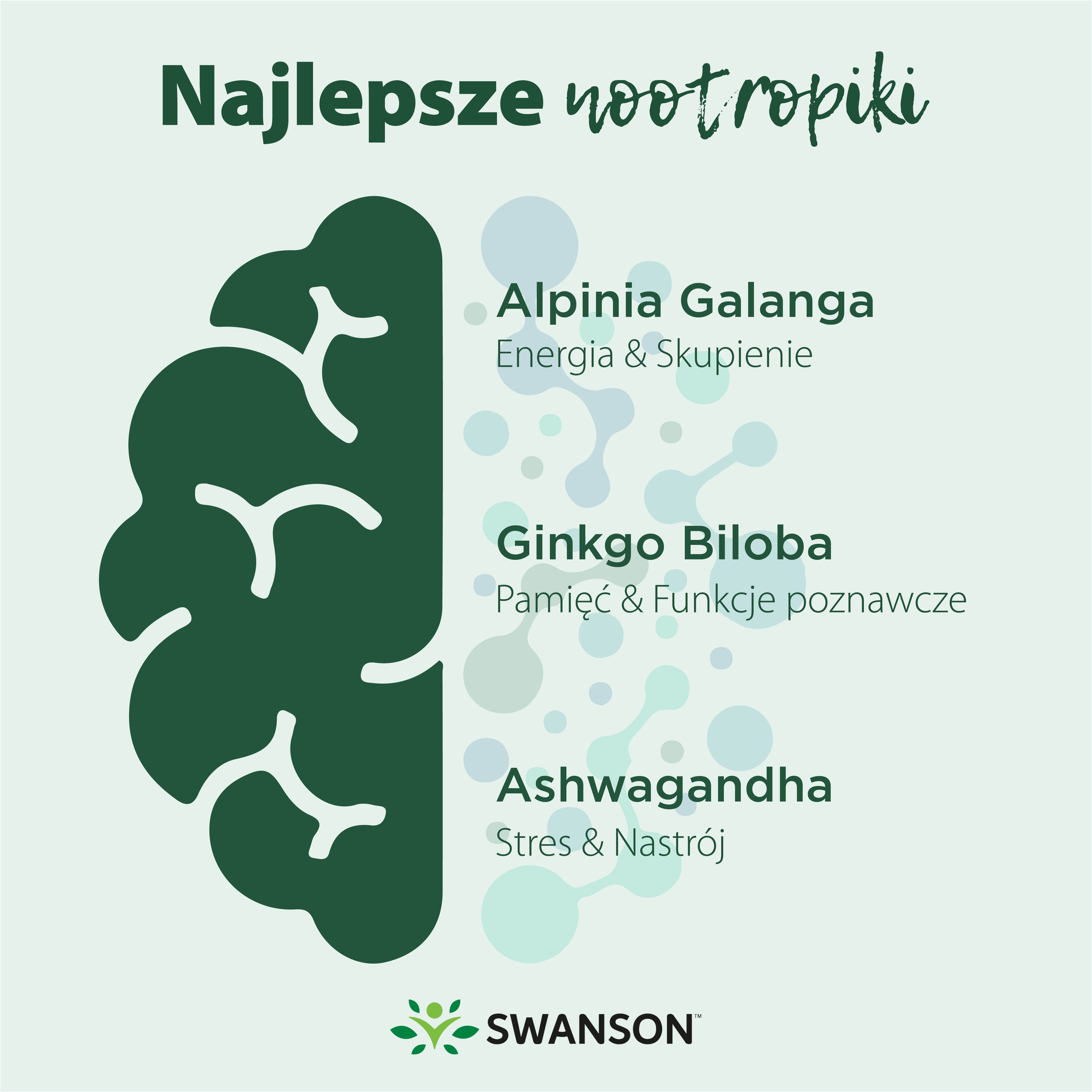 Najlepsze nootropiki