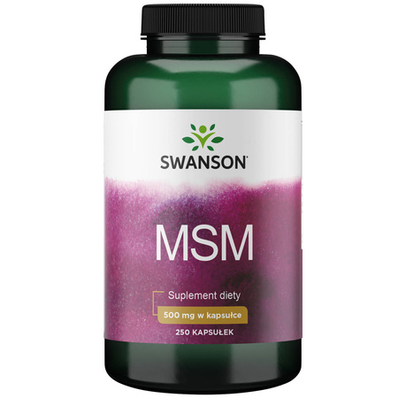 MSM 500mg 250kaps - suplement diety